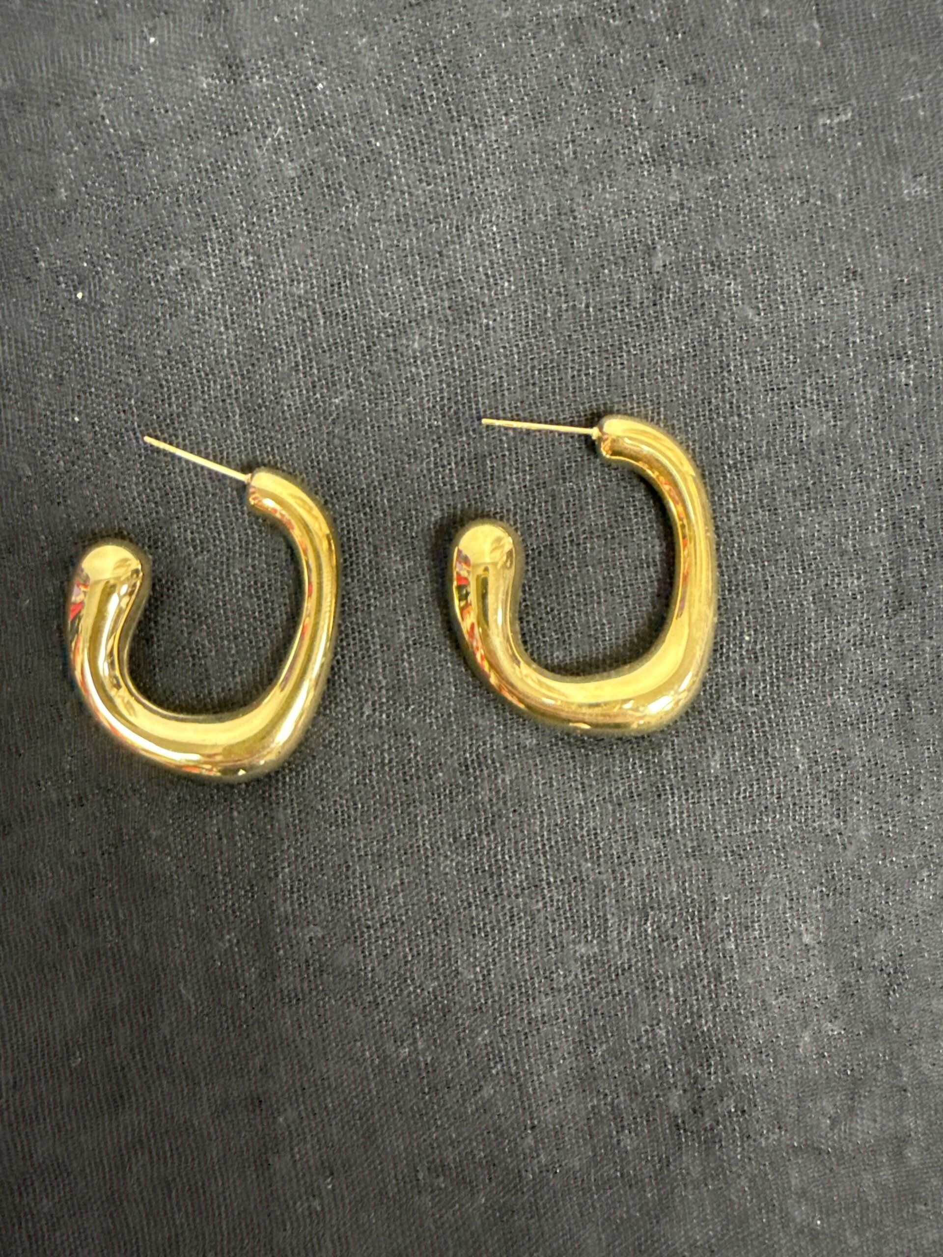 Pendientes Elite - 1